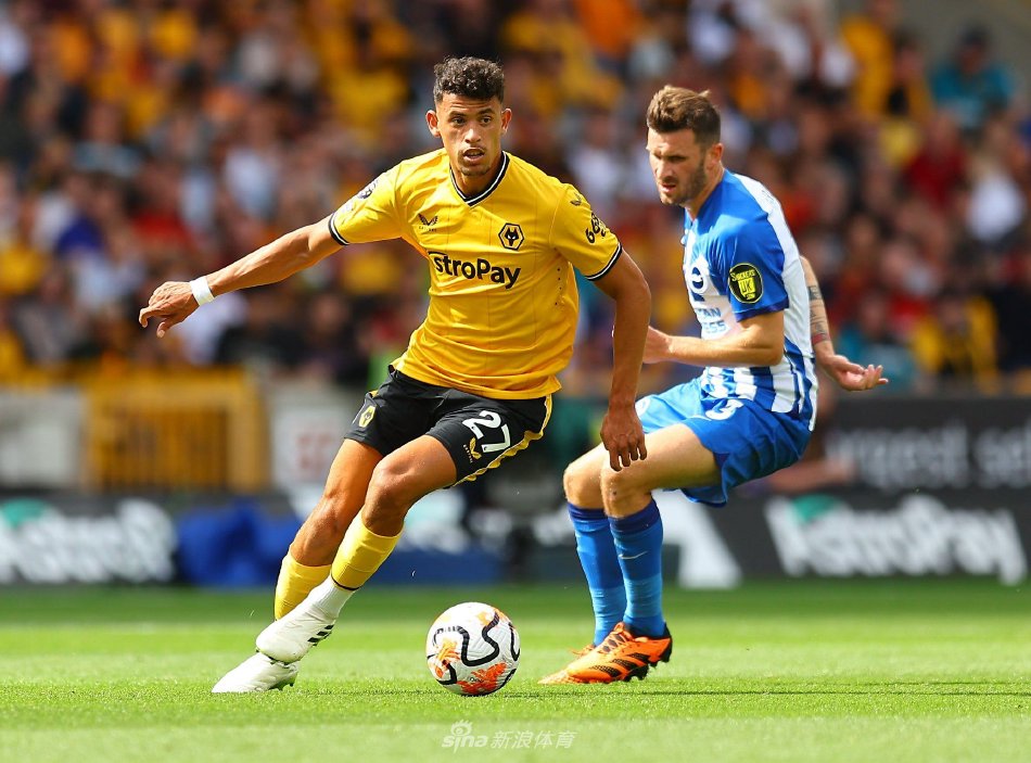 量与自信 量与自信