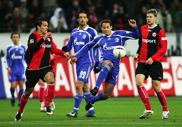 们提供了宝 们提供了宝